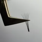 SVETLANA - volume szempillacsipesz